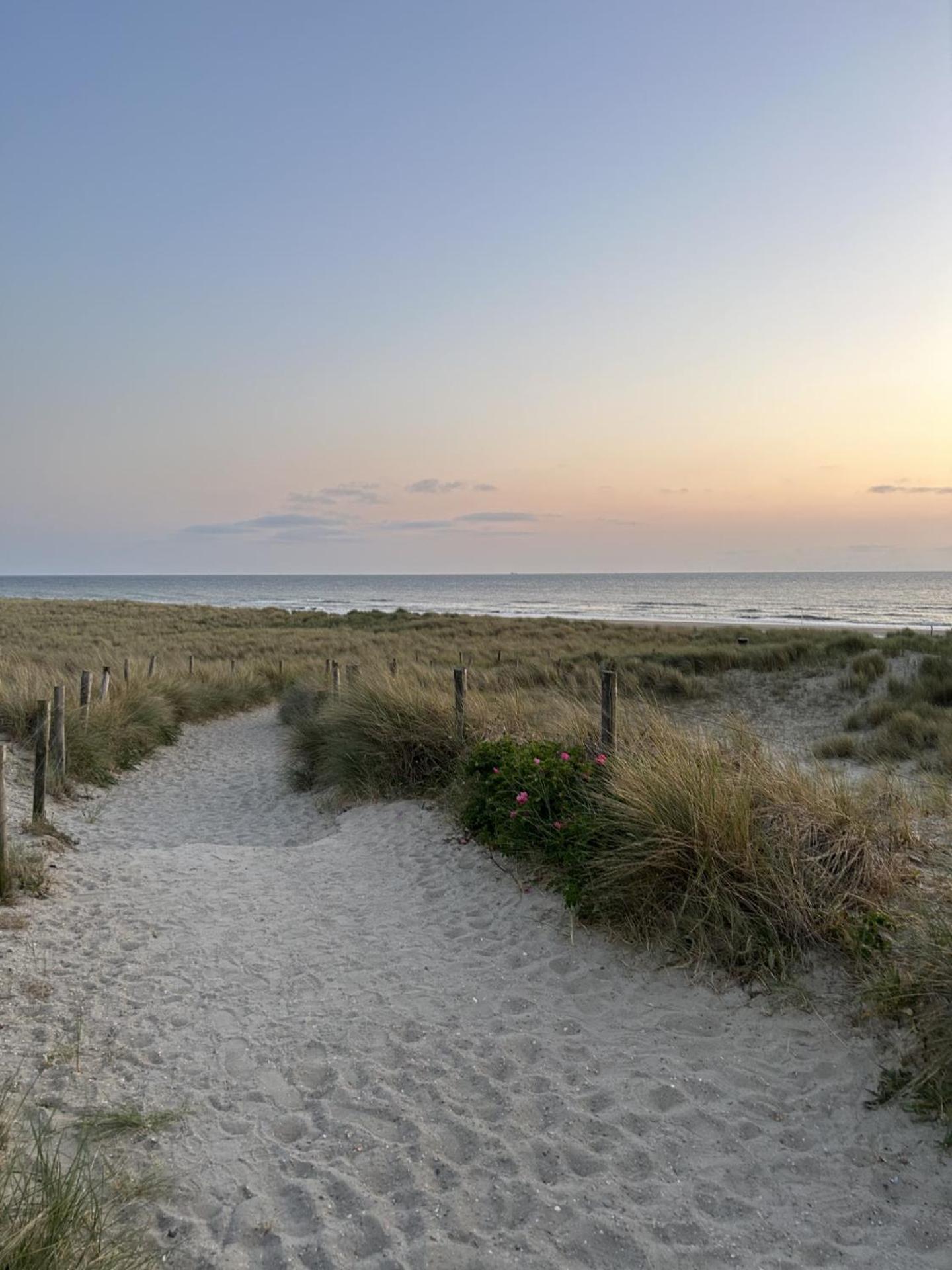 Breezy Petten